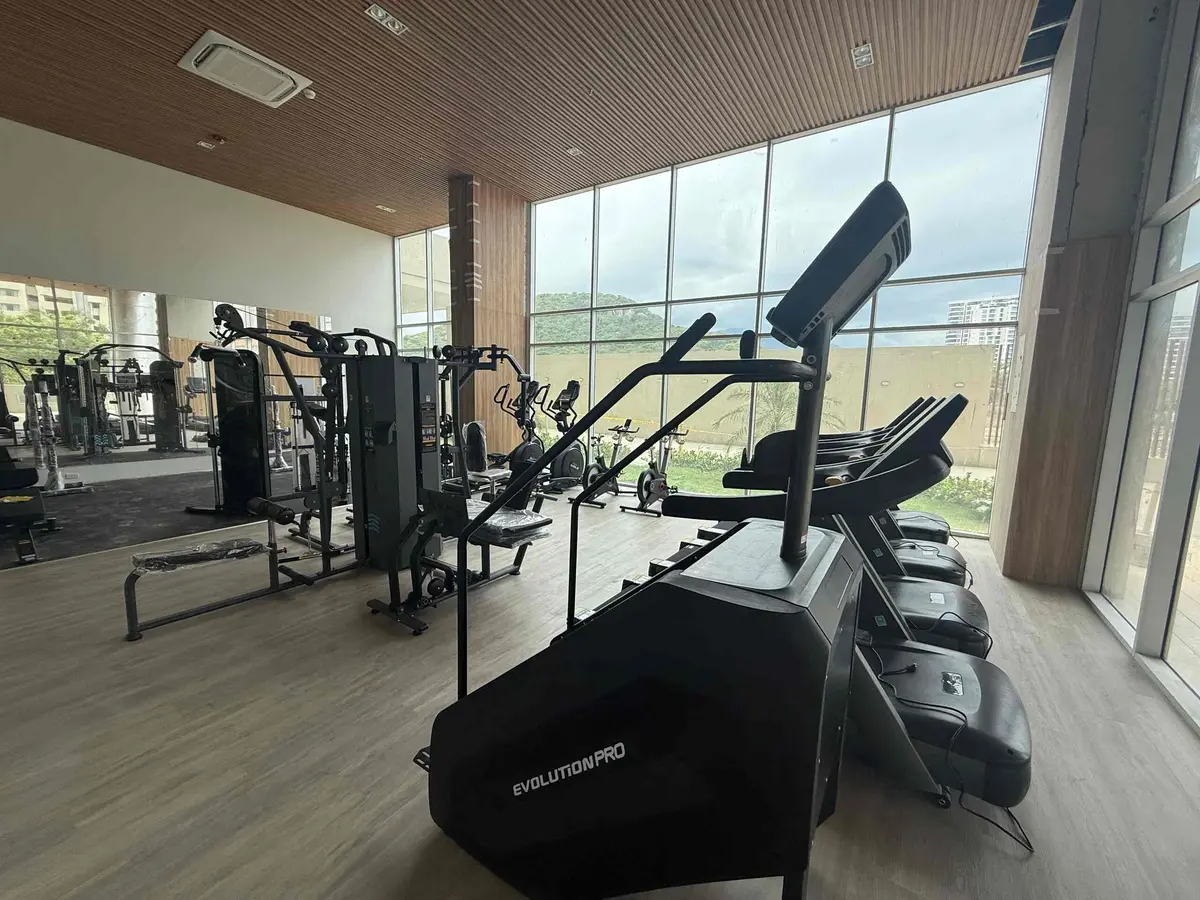 Gimnasio